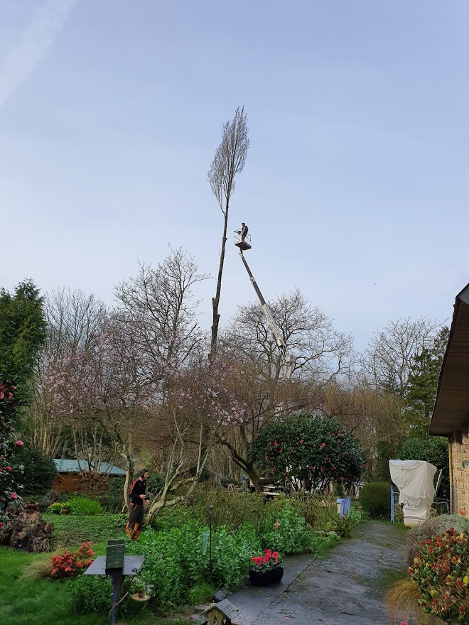 nacelle - Clohars-Fouesnant Pays Fouesnantais