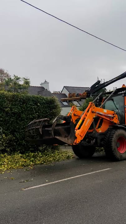 🌱 Taille d’une haie variée au lamier 🚜…