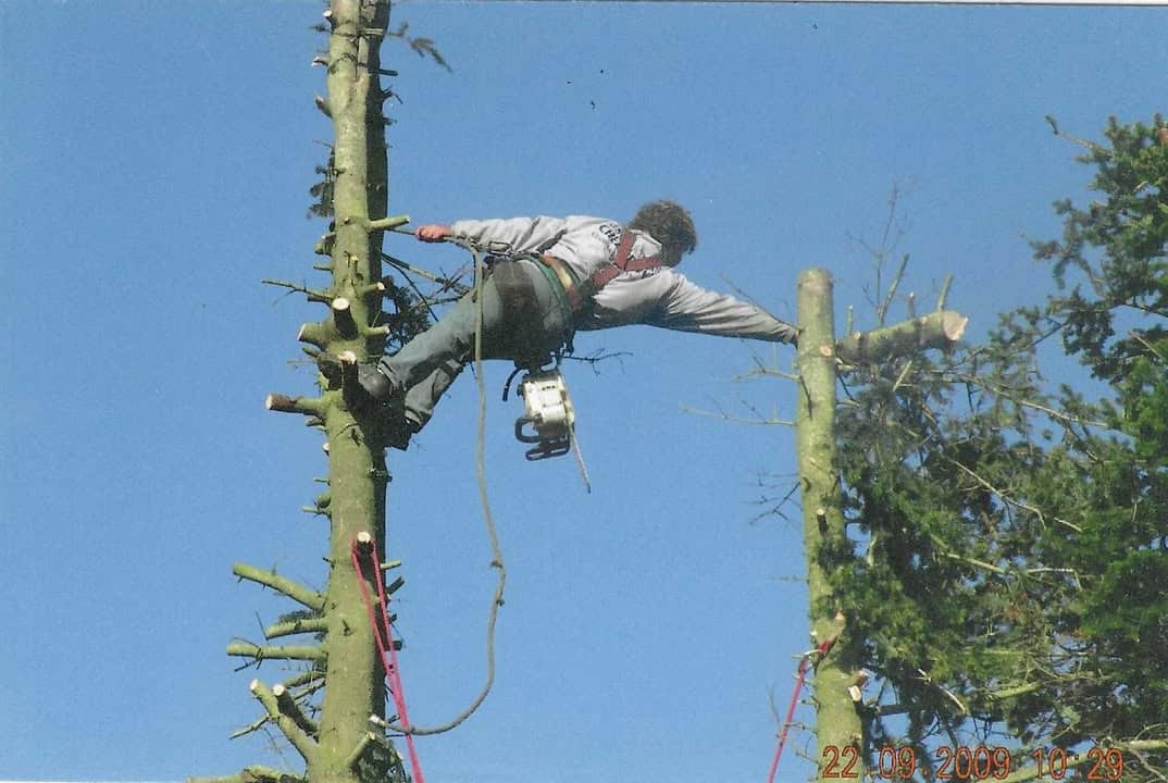 🌳 ￼Nous recrutons un elagueur/grimpeur 🍀  Notre entreprise cherche un(e)…